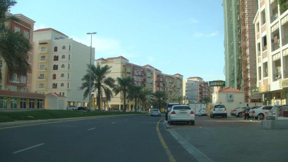 Dubai\'s best pest control company, Al Rasa, has now started in International City too